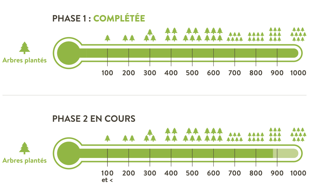 Compensation-Carbone-CO2-Traditours